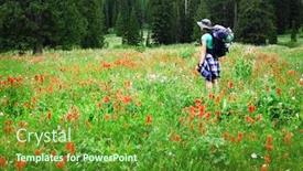 Presentation with photograph - Amazing presentation having woman young backpacking in wildflowers taking photograph backdrop and a tawny brown colored foreground