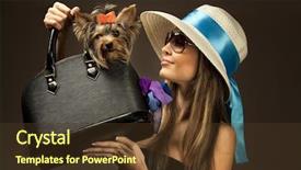  Presentation with bag - Slide set consisting of women accessories - profile of young glamor woman background and a tawny brown colored foreground