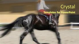  Presentation with horse riding - Amazing PPT theme having women riding a horse backdrop and a tawny brown colored foreground