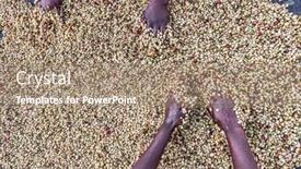  Presentation with coffee - PPT theme enhanced with women-s-hands-mixing-coffee background and a coral colored foreground