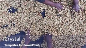  Presentation with ethiopia - PPT theme enhanced with women-s-hands-mixing-coffee background and a ocean colored foreground