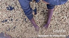  Presentation with ethiopia - Presentation design consisting of women-s-hands-mixing-coffee background and a gray colored foreground