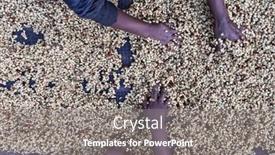  Presentation with ethiopia - PPT layouts featuring women-s-hands-mixing-coffee background and a gray colored foreground