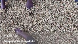  Presentation with ethiopia - PPT theme consisting of women-s-hands-mixing-coffee background and a gray colored foreground