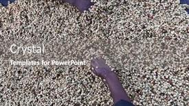  Presentation with ethiopia - Theme enhanced with women-s-hands-mixing-coffee background and a gray colored foreground