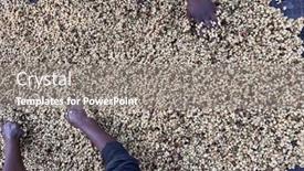  Presentation with ethiopia - Presentation theme consisting of women-s-hands-mixing-coffee background and a gray colored foreground