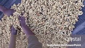  Presentation with ethiopia - Slide deck featuring women-s-hands-mixing-coffee background and a gray colored foreground