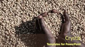  Presentation with coffee beans - Presentation design with women-s-hands-showing-dry background and a tawny brown colored foreground