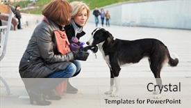  Presentation with women sad - Theme consisting of women with a stray dog background and a light gray colored foreground