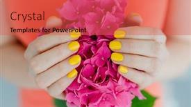  Presentation with nails - Beautiful theme featuring women-with-manicured-nails backdrop and a red colored foreground