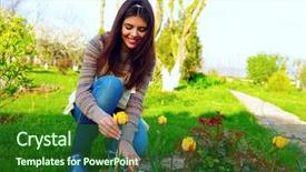  Presentation with live gardening - Amazing PPT theme having happy woman cutting the flowers backdrop and a forest green colored foreground