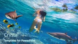 Presentation with sharks - Slide deck enhanced with woment-swimming-in-the-tropical background and a ocean colored foreground