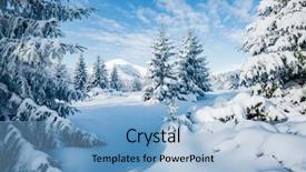  Presentation with happy new year - Theme enhanced with wonderful - majestic white spruces glowing background and a light blue colored foreground