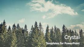  Presentation with pine forest - Cool new slide deck with wonderful forest landscape the harmonic backdrop and a gray colored foreground