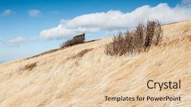  Presentation with annual day around the world - Presentation theme consisting of wonderful image of wallpaper abstract background and a  colored foreground