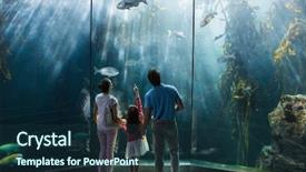 Presentation with fish aquarium - Amazing slide set having wonderful life - family looking at fish tank backdrop and a tawny brown colored foreground