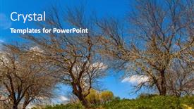  Presentation with light blue - Presentation design having wonderful-spring-in-israel-beautiful background and a teal colored foreground