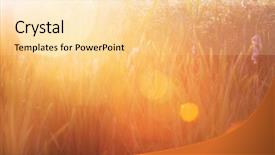  Presentation with sun flares on a blue - Cool new PPT layouts with wonderful sunset light with lense backdrop and a lemonade colored foreground