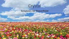  Presentation with weather - Presentation theme having wonderful-warm-spring-weather-picturesque background and a light blue colored foreground