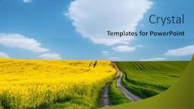  Presentation with earth land - PPT layouts with wonderful-yellow-rapeseed-field background and a light blue colored foreground