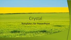  Presentation with agrarian - Slide set having wonderful-yellow-rapeseed-field background and a  colored foreground