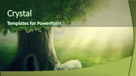  Presentation with rabbit - Colorful slide set enhanced with wonderland - white rabbit and a tree backdrop and a tawny brown colored foreground