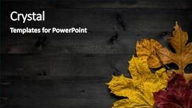  Presentation with autumn wood - Amazing PPT layouts having wood autumn background with free space for design backdrop and a black colored foreground