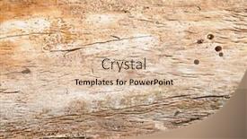  Presentation with element - Colorful presentation theme enhanced with wood-background-useful-design-element backdrop and a lemonade colored foreground