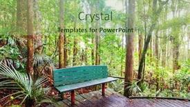  Presentation with tropical forest - Slides enhanced with wood-bench-in-the-tropical background and a mint green colored foreground