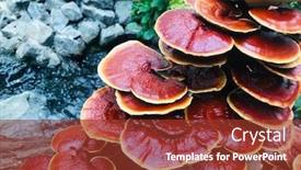  Presentation with health benefit - PPT theme with wood-bracket-fungus-known background and a tawny brown colored foreground