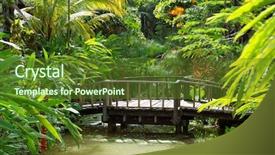  Presentation with wood bridge - Amazing slide deck having wood bridge backdrop and a tawny brown colored foreground