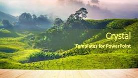  Presentation with morning sunrise - Audience pleasing slide set consisting of wood floor over tea plantations backdrop and a tawny brown colored foreground