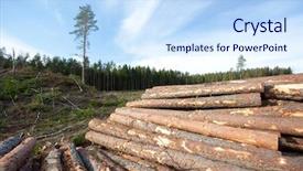  Presentation with pine - Theme having forest pruduct - pine logs industrial way background and a  colored foreground