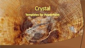  Presentation with wood log - Presentation theme having wood log - old tree trunk texture background and a tawny brown colored foreground