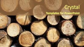  Presentation with wood log - Theme consisting of wood log - stockpile of logging timber showing background and a  colored foreground