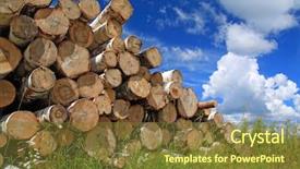  Presentation with wood log - PPT layouts enhanced with wood log - timber in a field near background and a tawny brown colored foreground