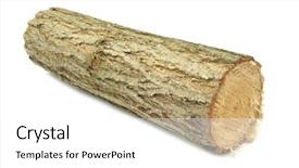  Presentation with wood log - PPT layouts with wood log - timber lumber balk beam short background and a white colored foreground