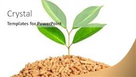  Presentation with biomass - Amazing theme having wood-pellets-and-tree-leaves backdrop and a white colored foreground