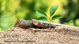  Presentation with fuel - Presentation design with wood-pellets-with-leaf background and a soft green colored foreground