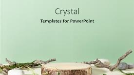  Presentation with green leaves - Slide deck consisting of wood-podium-with-green-leaves background and a soft green colored foreground