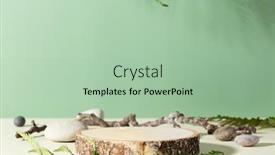  Presentation with green leaves - Slides enhanced with wood-podium-with-green-leaves background and a mint green colored foreground