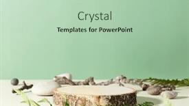  Presentation with natural cosmetic - PPT theme with wood-podium-with-green-leaves background and a mint green colored foreground