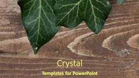  Presentation with dark green - PPT layouts featuring wood-slice-podium-and-dark background and a violet colored foreground