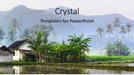  Presentation with rice plant - Presentation featuring wood small building on rice background and a light blue colored foreground