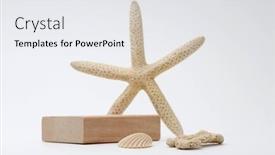  Presentation with wood gray - Presentation theme featuring wood-stack-cube-platform-podium background and a white colored foreground