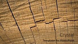  Presentation with timber wood wood texture wood - Slide set enhanced with wood-texture-background-surface-natural background and a coral colored foreground