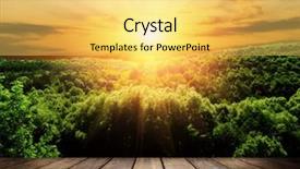  Presentation with autumn wood - Slide deck consisting of wood textured backgrounds background and a yellow colored foreground