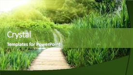  Presentation with deep - PPT theme featuring wood way in deep forest background and a tawny brown colored foreground