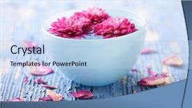  Presentation with bowl - Theme enhanced with wood with bowl of water background and a light blue colored foreground