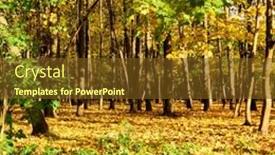  Presentation with yellow wood - PPT theme featuring wood-with-yellow-fallen-leaves background and a tawny brown colored foreground